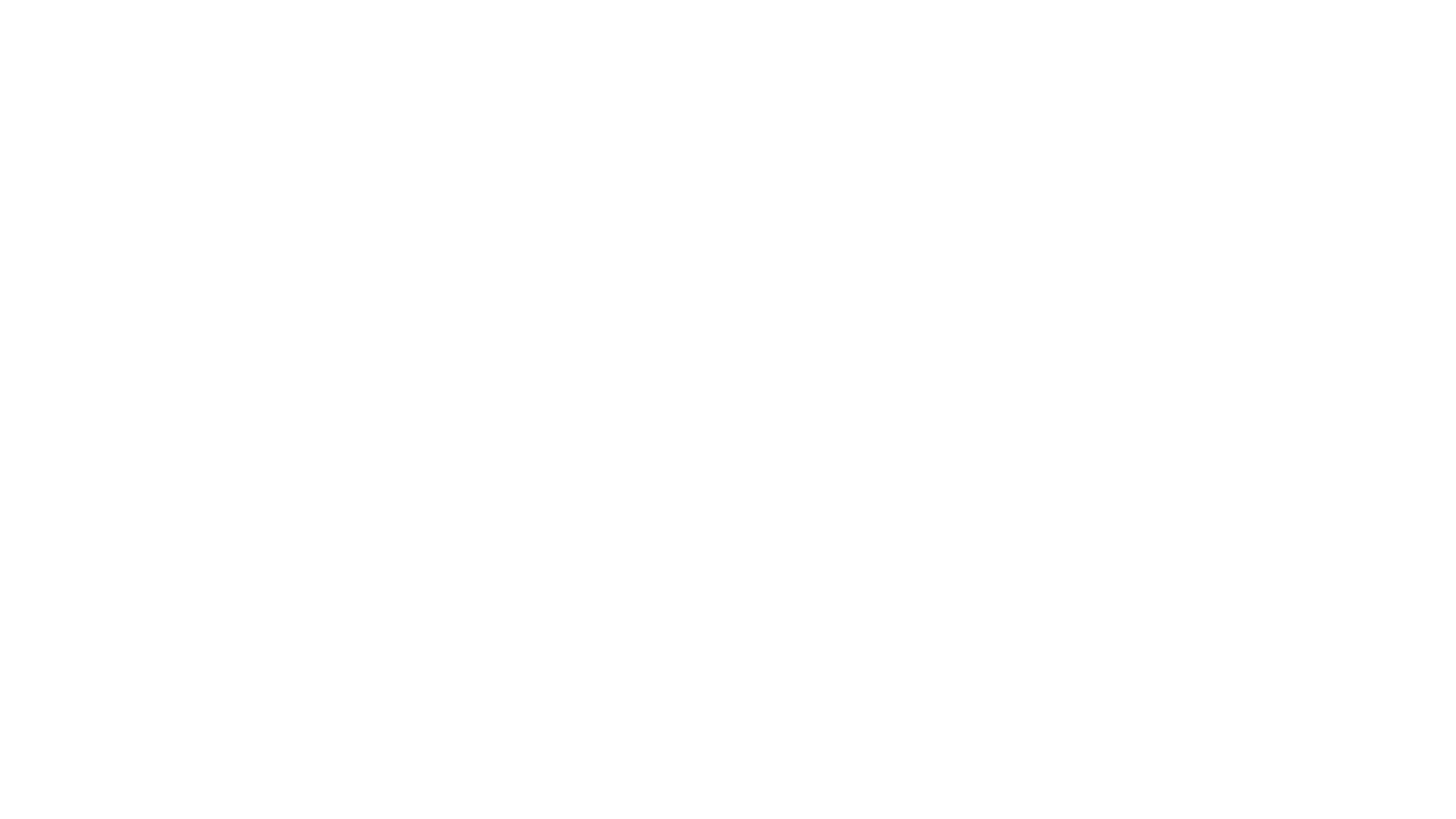 Festina Lente